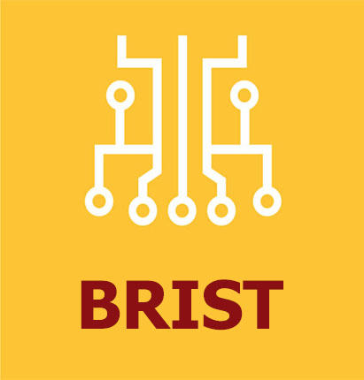 BRIST - Building a Research Infrastructure for School Teachers
